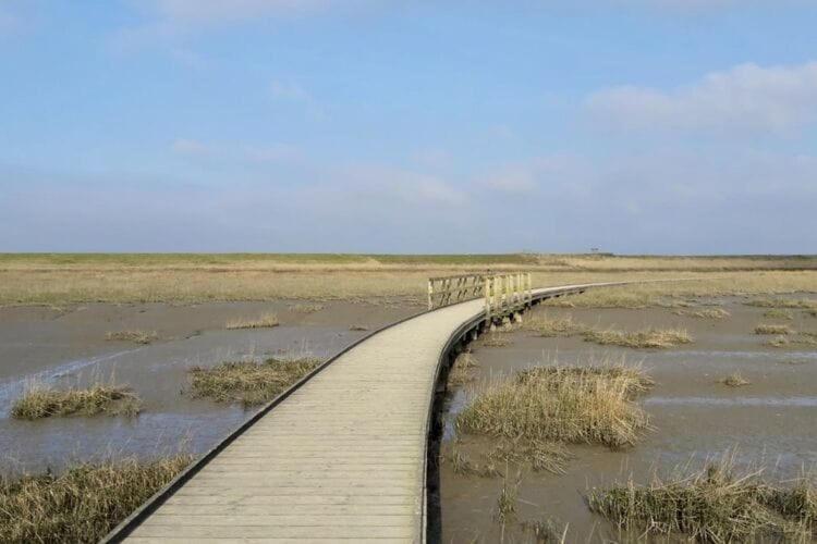 Ferienhaus Amalie, Burhave Bagian luar foto